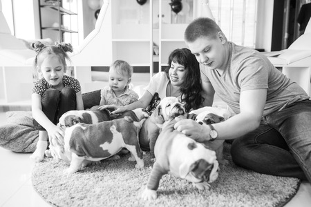 Nice scene of the family and the puppy on the carpet at homeの写真素材