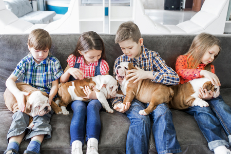 Cute kids sitting on the couch with the puppies English bulldogの写真素材