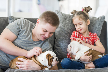 Caring dad with a daughter and a puppies English bulldogの写真素材
