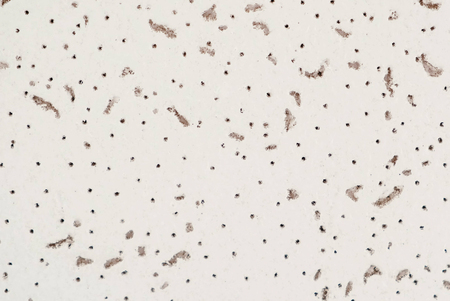 Leaky white surface texture abstract. Closeup.