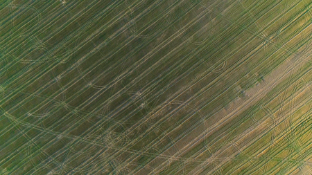 Flight above green and yellow fields early spring, aerial panoramic view photo.