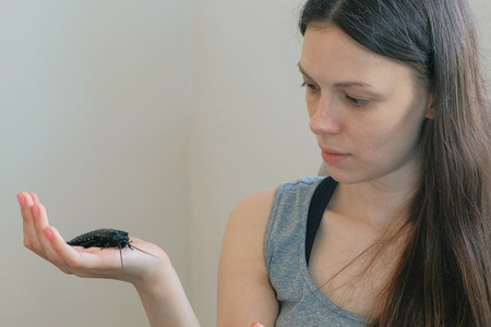 Young woman holding a male of Gromphadorhina portentosa the hissing cockroach, one of the largest...