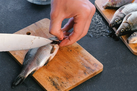 Man cuts gills of carp fish. Cooking fish. Hands close up.の写真素材