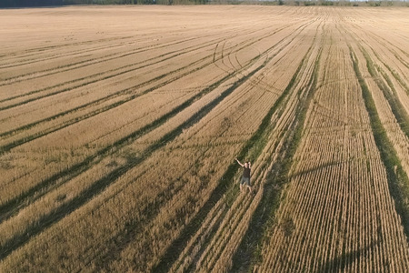 Young successful happy man winner rejoices on the field, arms outstretched. Aerial panoramic view.の写真素材