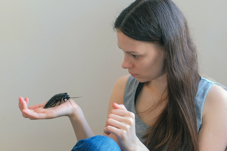 Young woman holding a male of Gromphadorhina portentosa the hissing cockroach, one of the largest species of Madagascar cockroach.の写真素材