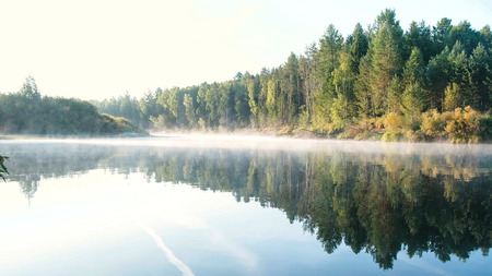 Mist over the river. Autumn forest is reflected in the water on the riverbank.の写真素材