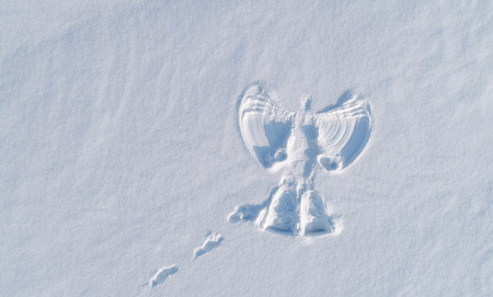Snow angels print on a snowcovered area. Aerial foto.