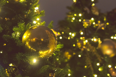 Christmas balls of gold color and garlands with bulbs on the branches of christmas tree, close-up view.の写真素材