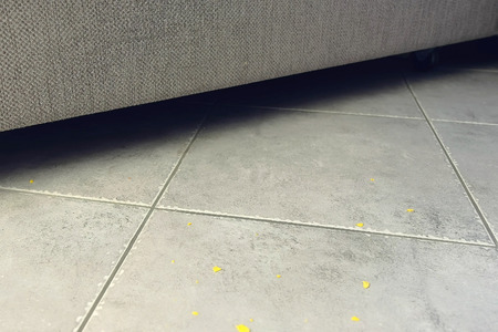 Corn flake crumbs on the floor next to the sofa. Corn flakes on the floor on the gray tile.の写真素材