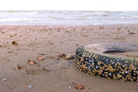Pollution on the coast. Sea sand beach with waves after storm.の写真素材