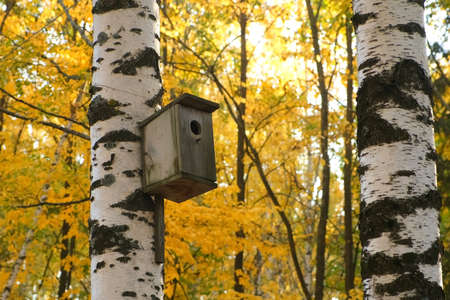 Concept of caring for birds and animals in the cold season. Wooden birdhouse for the birds on the...