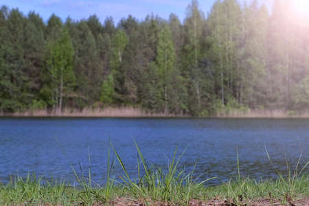 Green forest and river at summer day, view from riverbank. Blur nature beautiful background. Sunny weather. Scenery landscape of forest tundra and river bank.の写真素材