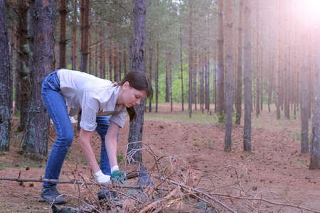 Young woman in forest camping cuts branches of tree with an axe for firewood sitting squat, side view. Household work on vacation in the woods in the scout camp.の写真素材