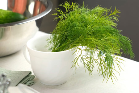bunch of dill from water in cup to cut and cook dish on kitchen at home, hands close-up. Cuisine, culinary, prepare cook dish, domestic food, recipe, fresh organic ingredients concept.の写真素材
