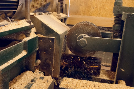Logs moving on conveyer transporter to cutting machine at woodworking plant. Timber processing and...