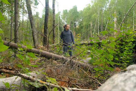 Man hiker walking hiking through fallen trees enjoying vacation in wild forest. Tourist travel in...