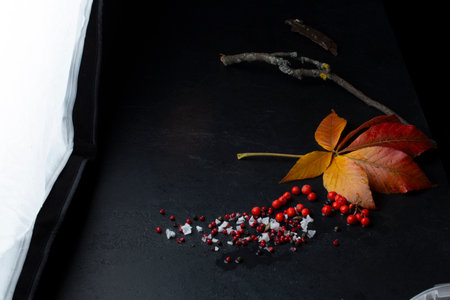 Autumn still life with fallen leaves and rose hips on a black backgroundの写真素材