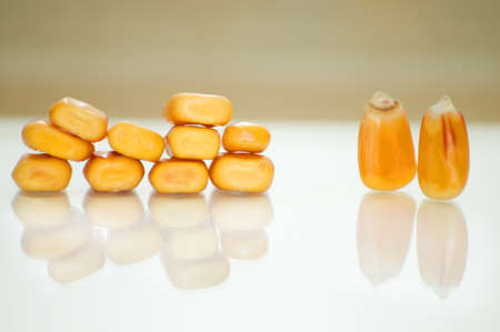 the wall. this shot shows a few grains of corn in different positions.の写真素材