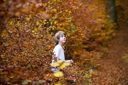 Boy sitting in an autumn park の写真素材