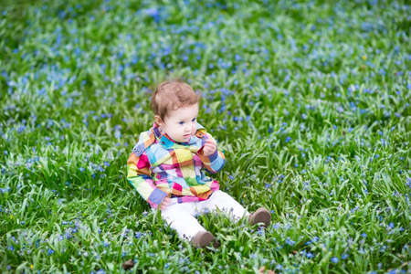Little baby girl relaxing on the lawn between beautiful blue flowers の写真素材