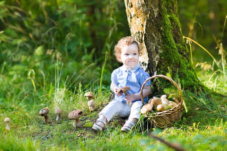 Adorable baby girl with curly hair gathering mushrooms in a park sitting under a big old tree の写真素材