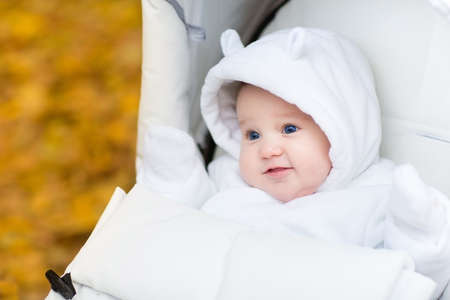 Adorable baby girl in a warm white jacket sitting in a stroller on a walk in an autumn park with yellow foliage の写真素材