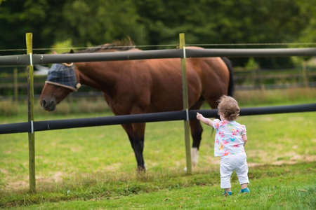 Adorable baby girl watching a horse on a farm at sunset on a hot summer evening の写真素材