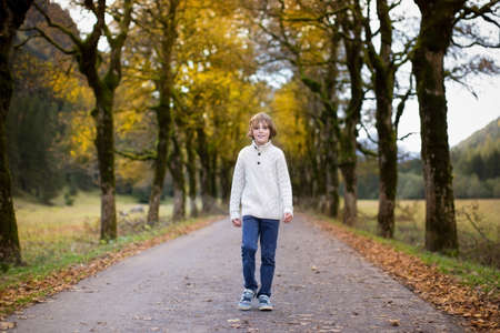 Happy laughing boy walking down a beautiful road between colorful yellow autumn trees の写真素材