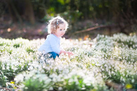 Cute curly toddler girl playing with first spring flowers in a beautiful spring sunny park  の写真素材