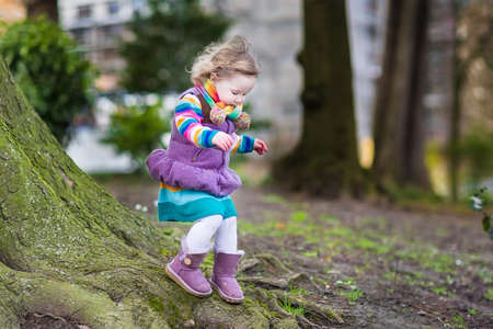 Cute toddler girl playing at a big tree in a spring park  の写真素材