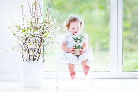 Beautiful curly toddler girl in a white dress sitting in a white rocking chair next to a big garden view window holding first spring flowers in a transparent crystal vase  の写真素材