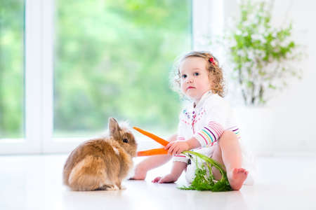 Adorable toddler girl with beautiful curly hair wearing a white dress playing with a real bunny in a sunny living room with a big garden view window sitting on the floor  の写真素材