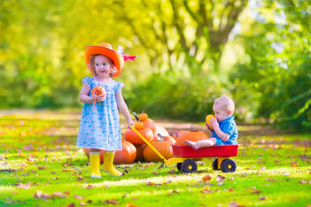 Two happy children at pumpkin patch during Halloween, cute curly little girl in a cowboy hat pushing a wheel barrow with a funny baby boy on a sunny autumn day on a farmの写真素材