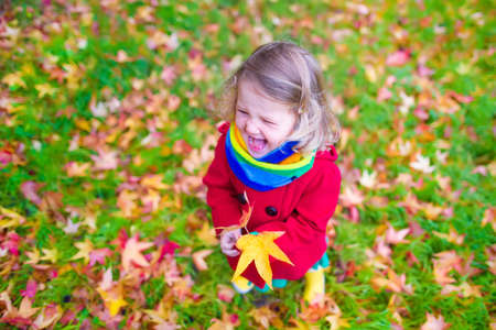 Little girl in autumn parkの写真素材