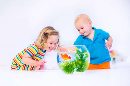 Two children, brother and sister, cute little girl and adorable baby boy feeding a goldfish swimming in a round fish bowl aquarium having fun with their pet at homeの写真素材