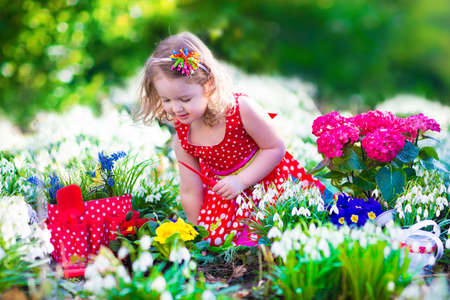 Cute curly little girl in a red summer dress working in the garden watering first spring flowers on a sunny warm dayの写真素材