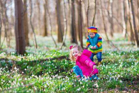 two little children, cute toddler girl and funny baby boy, brother and sister, playing in a sunny forest with beautiful spring snowdrop flowersの写真素材