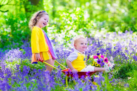 Kids gardening. Children playing outdoors. Little girl and baby boy, brother and sister, working in the garden, planting flowers, watering flower bed. Child pushing wheel barrow.の写真素材