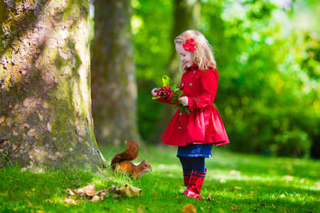 Girl feeding squirrel in autumn park. Little girl in red trench coat and rain boots watching wild animal in fall forest with golden oak and maple leaves. Children play outdoors. Kids playing with petsの写真素材