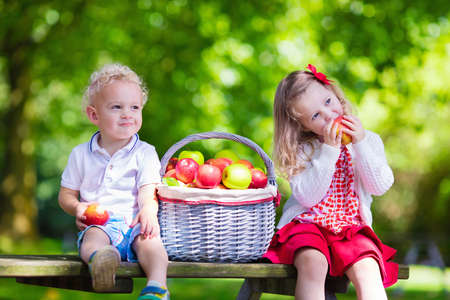 Child picking apples on a farm in autumn. Little girl and boy playing in apple tree orchard. Kids pick fruit in a basket. Toddler eating fruits at harvest. Outdoor fun for children. Healthy nutrition.の写真素材