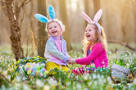 Kids on Easter egg hunt in blooming spring garden. Children with bunny ears searching for colorful...