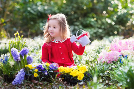 Child planting spring flowers in sunny garden. Little girl gardener plants hyacinth, daffodil, snowdrop in flower bed. Gardening tools and water can for kids. Family with children work in the backyard.の写真素材