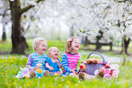 Little children eating lunch outdoors. Kids with picnic basket in spring garden with blooming apple and cherry tree. Preschooler girl, toddler boy and baby eat and drink in summer park on blanket.の写真素材