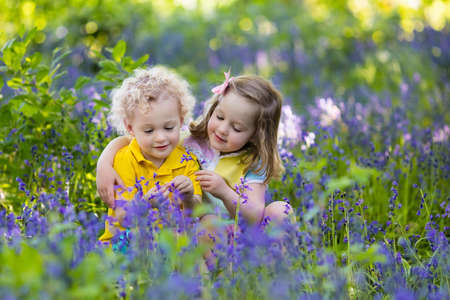 Kids gardening. Children play outdoors in bluebells meadow. Little girl and boy, brother and sister, work in the garden, planting bluebell flowers, watering blue bell flower bed. Family fun in summer.の写真素材