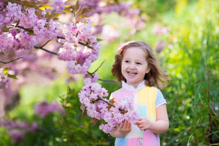 Little happy girl playing under blooming cherry tree with pink flowers. Child holding sakura blossom. Summer fun for family with kids outdoors in a beautiful spring garden. Kid with flower on Easter.の写真素材