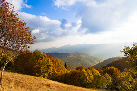 Beautiful view of Alsace mountain and hill landscape in autumn by sunny weather. Nature of France in...
