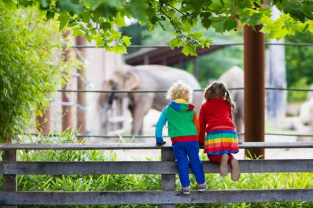 Two children, little toddler boy and preschool girl, brother and sister, watching elephant animals at the zoo on sunny summer day. Wildlife experience for kids at animal safari park.の写真素材