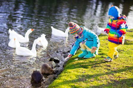 Little girl and boy feeding otter, ducks and geese in park river on cold autumn day. Kids taking care of animals. Outdoor fun for children in fall or winter. Family day trip to the zoo.の写真素材