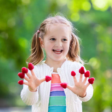 Child picking raspberry. Kids pick fresh fruit on organic raspberries farm. Children gardening and harvesting berry. Toddler kid eating ripe healthy berries. Outdoor family summer fun in the country.の写真素材