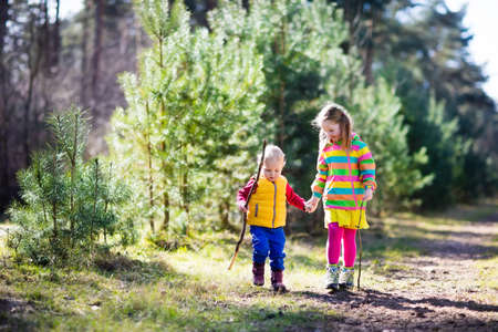 Little boy and girl camping and hiking in sunny summer forest. Kids hike in the Alps mountains. Family with children on autumn trekking trip and camp vacation. Brother and sister play with sticks.の写真素材